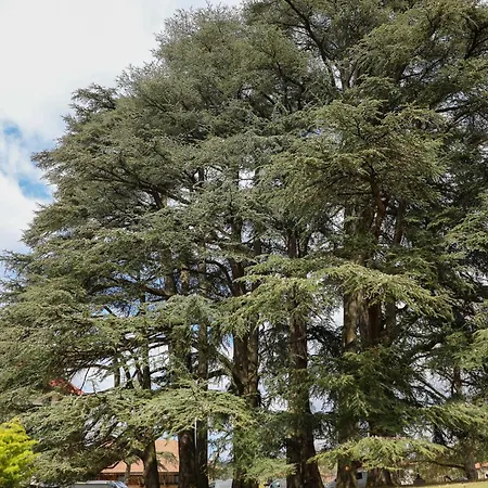 Hotel Sequoias Golf & Ressort